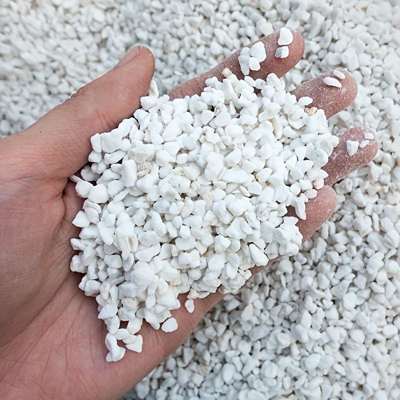 1 Bag 3-6 mm Gardening Perlite - Sphagnum Moss Dry 评论和价格