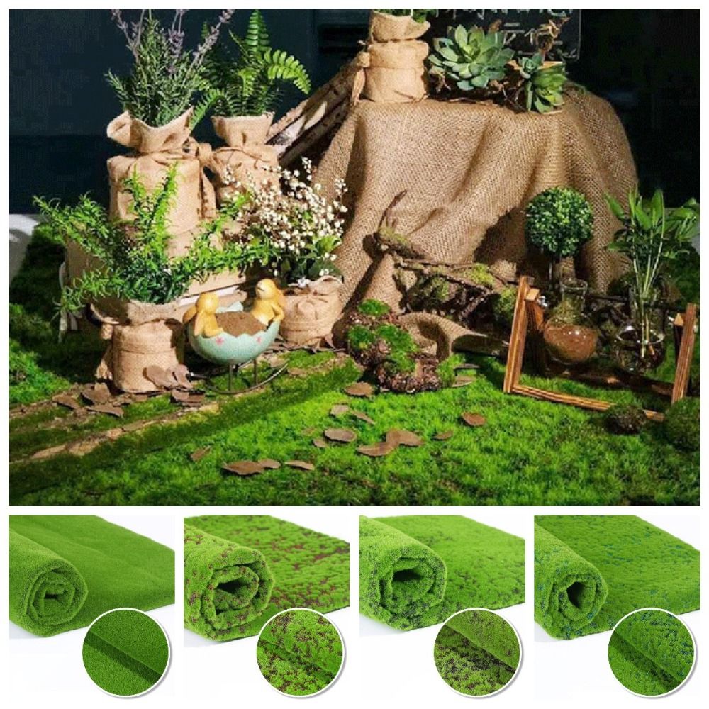 DIY Fake Moss Grass Turf Durab - Sphagnum Moss Dry 评论和价格