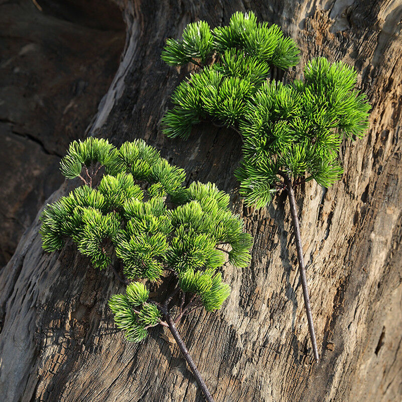 42cm Artificial Plant Pine Bra - Sphagnum Moss Dry 评论和价格