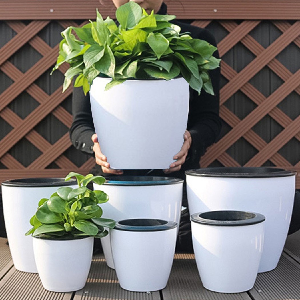 Automatic Watering Flower Plan - Self Watering Insert 评论和价格